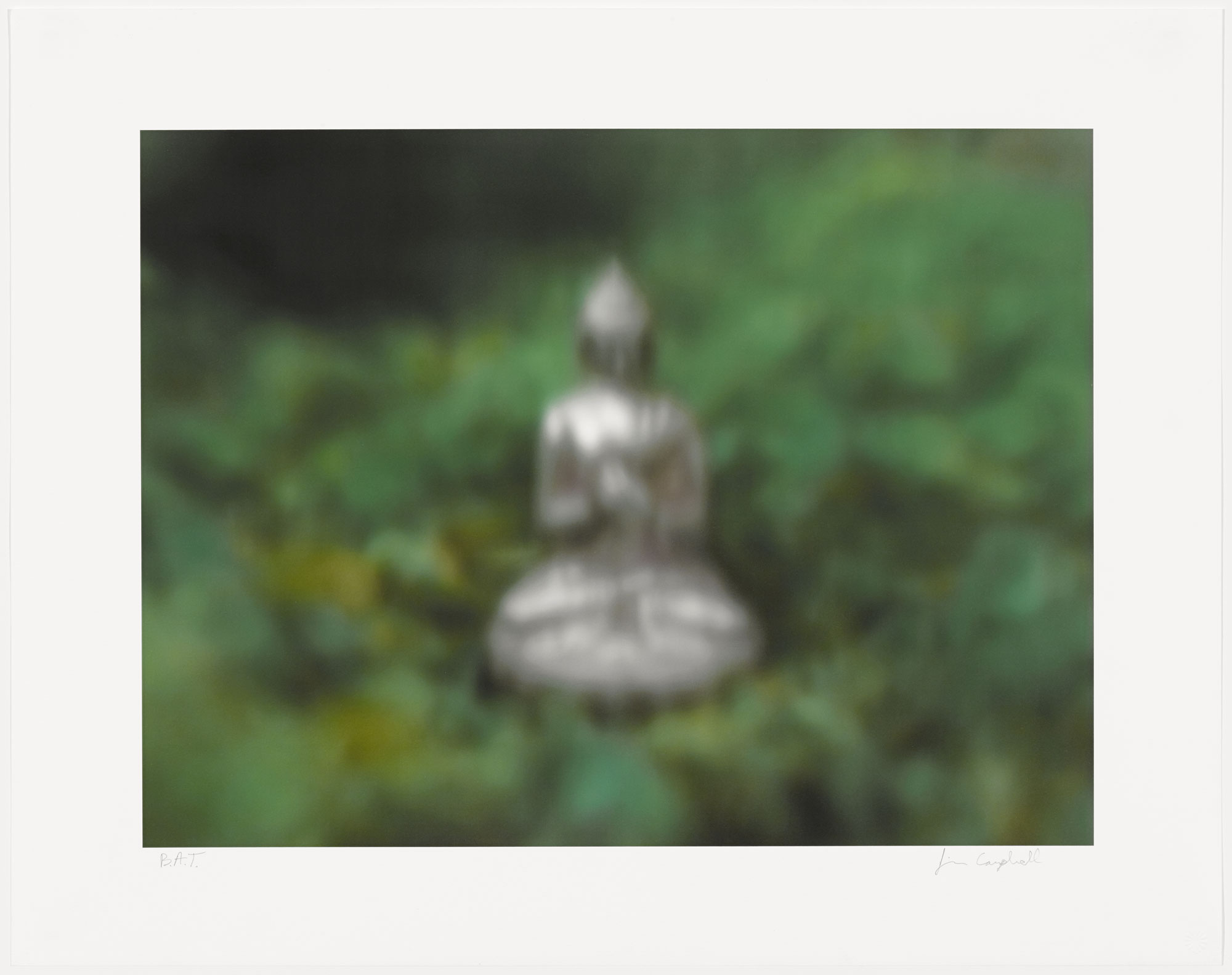 Dynamism of an Observer in the Weeds